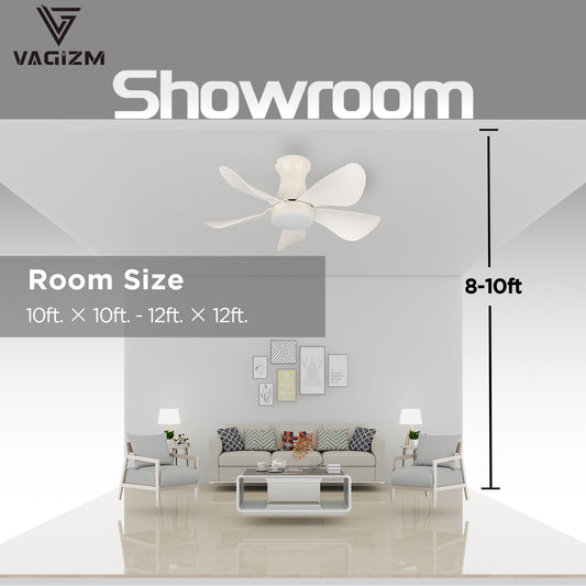 Vagizm 30 Inch Ceiling Fan with LED Light, Flush Mount, Modern, Indoor