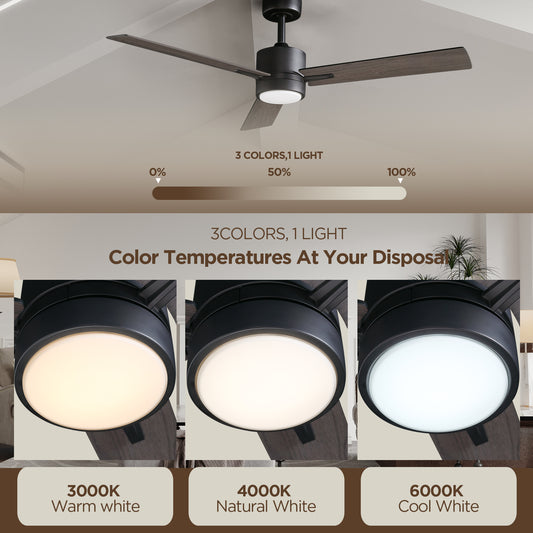 Ceiling Fan 52'' with Light Downrod Mounted for Indoor