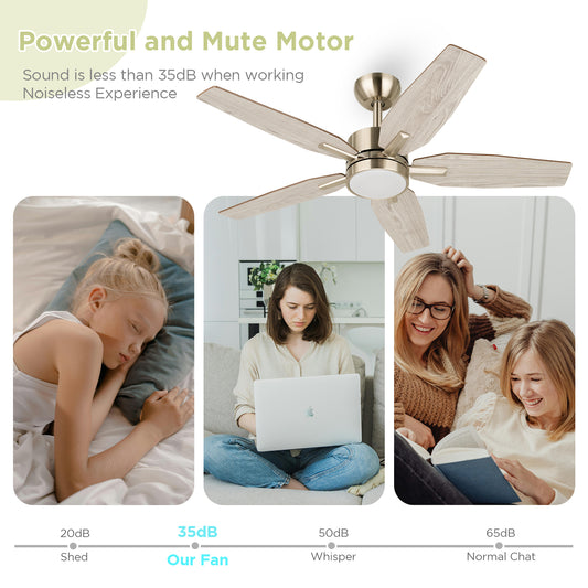 Vagizm 42 Inch Ceiling Fan with Light - 5 Blades Modern Ceiling Fan for Living Room and Bedroom - Quiet DC Motor - 3CCT - 6 Speeds - Dimmable - Reversible Function - Light Wood Tone