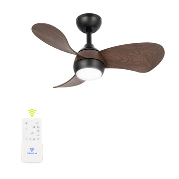 Ceiling Fan With Light 30 Inch: Small Ceiling Fan Downrod Mount with Remote Control for Kids Room Bedroom- Reversible Quiet DC Motor with 6 Speeds CFL-006C3