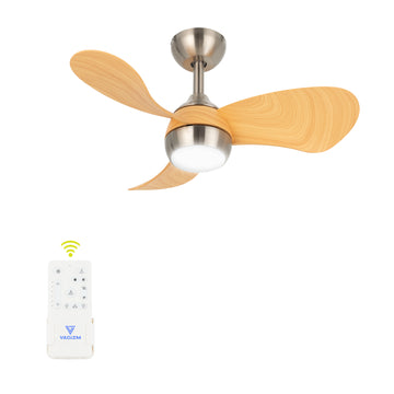 Ceiling Fan With Light 30 Inch: Small Ceiling Fan Downrod Mount with Remote Control for Kids Room Bedroom- Reversible Quiet DC Motor with 6 Speeds CFL-006N3