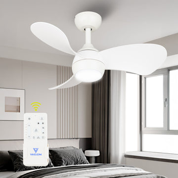 Ceiling Fan With Light 30 Inch: Small Ceiling Fan Downrod Mount with Remote Control for Kids Room Bedroom- Reversible Quiet DC Motor with 6 Speeds CFL-006W3